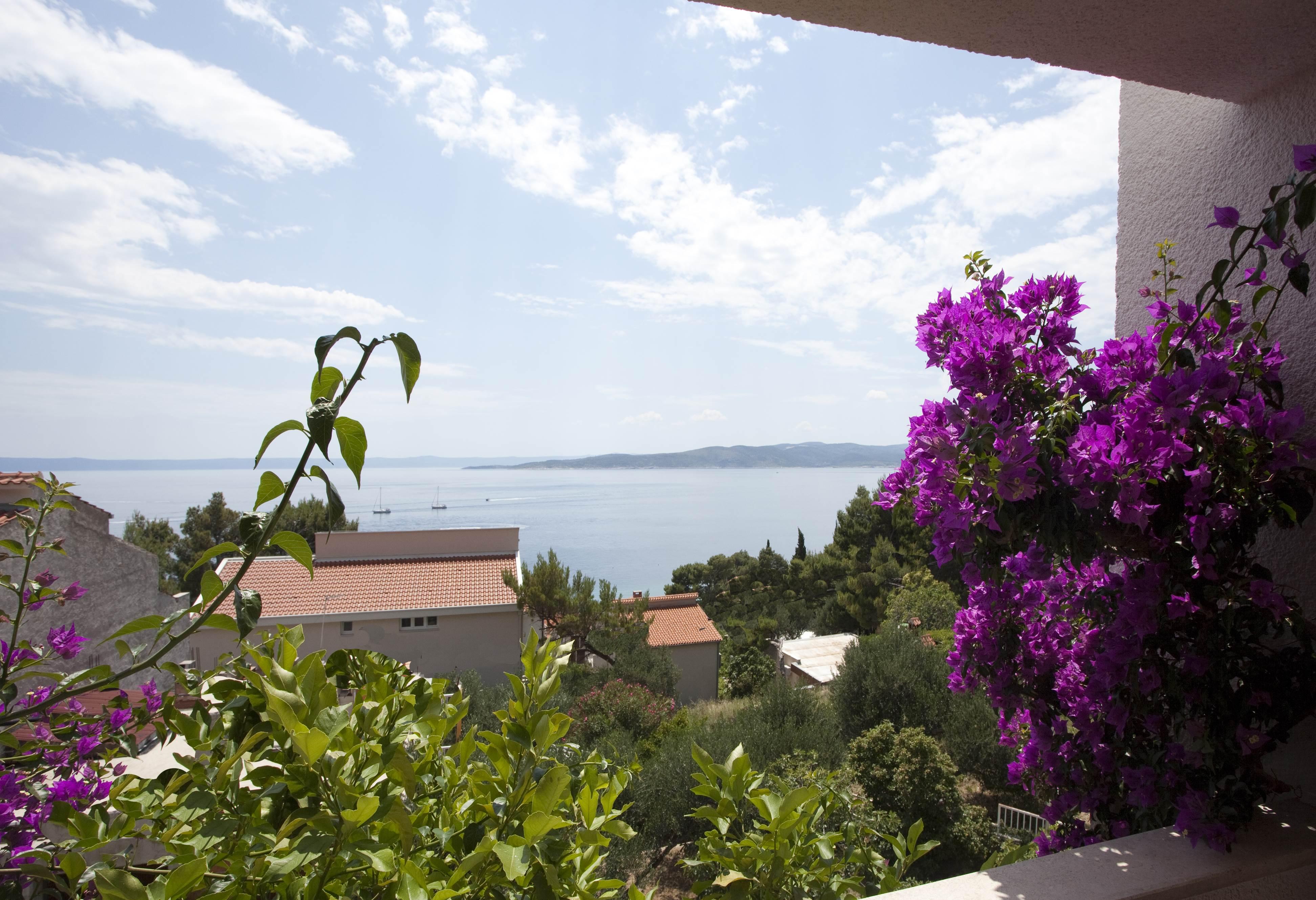 Villa Skalinada, 8 Persons, Private Pool, Baška Voda Kültér fotó